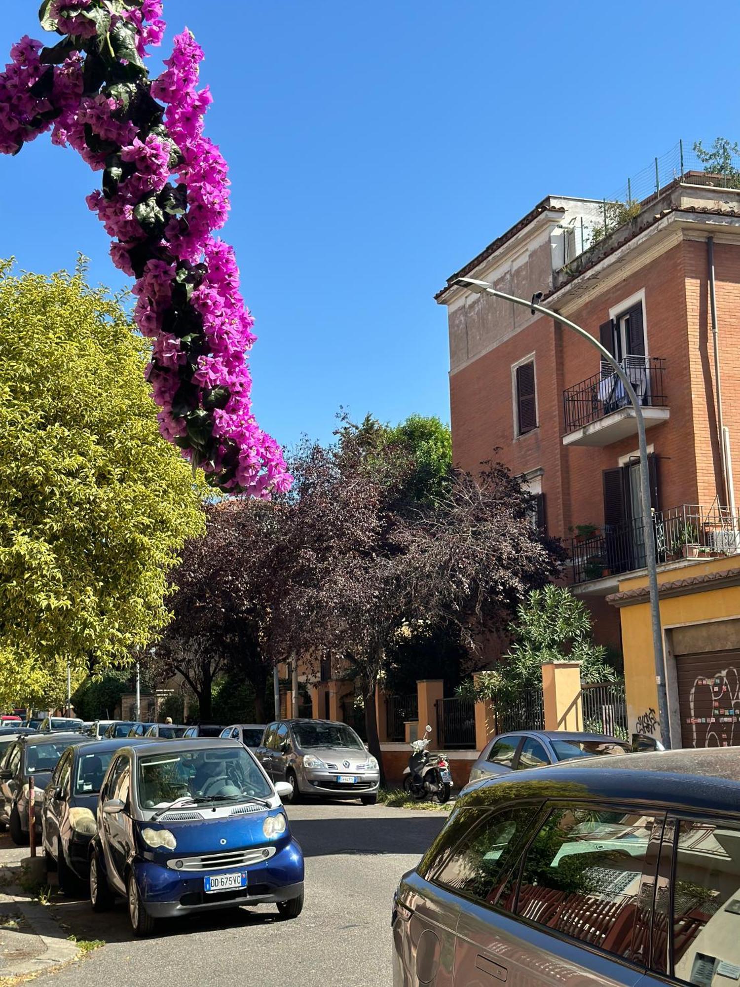 Trastevere Gianicolense Casa Con Giardino 로마 외부 사진